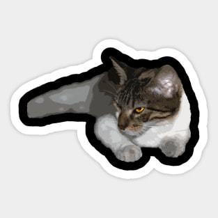 cat with strange regard Sticker